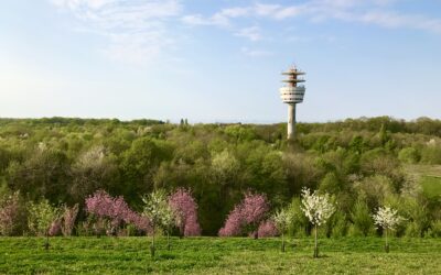 Travaux de sécurité sur le plateau d’Andilly par l’AEV