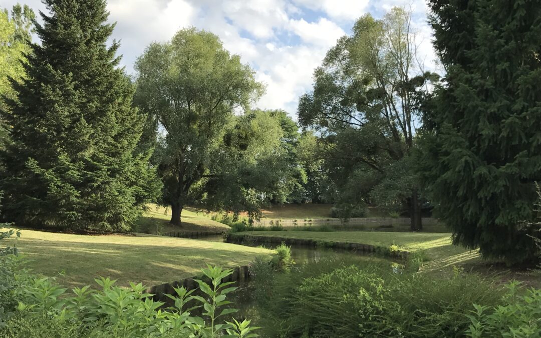 À la fraîche dans les parcs