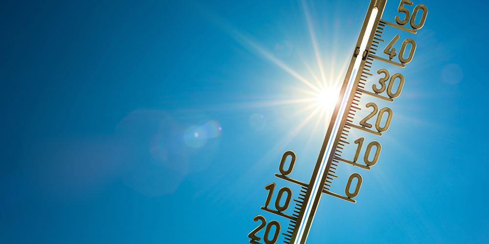 Fortes chaleurs et canicule : tout ce que vous devez savoir