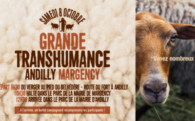 Grande transhumance