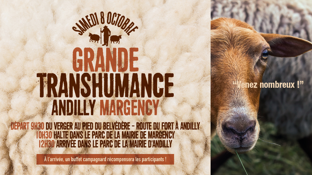 Grande transhumance