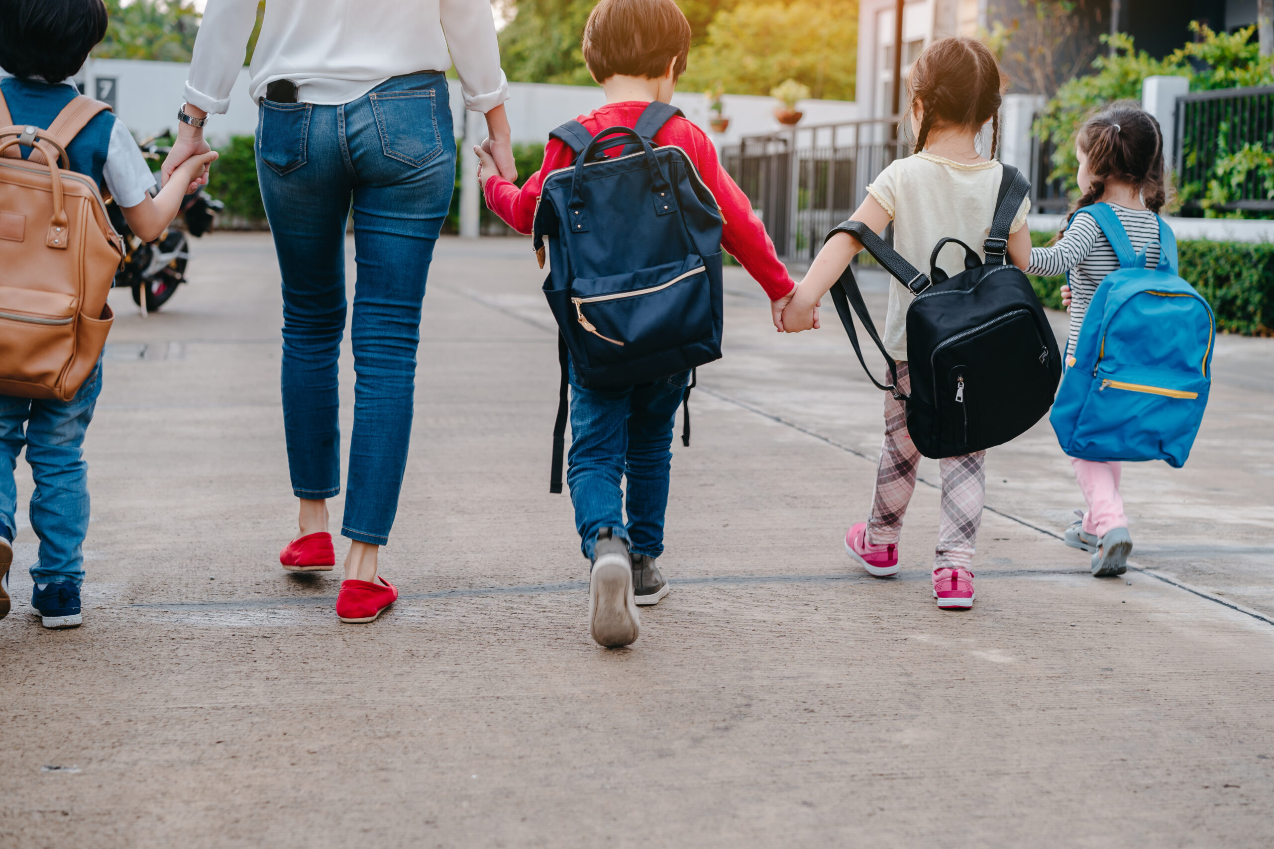 Résultats des élections à la caisse des écoles