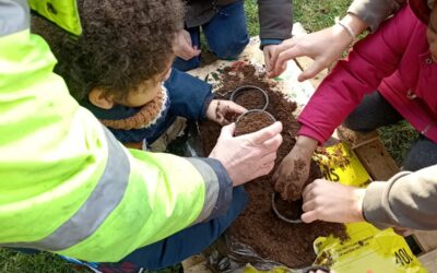 Atelier potager et semis à l’accueil de loisirs