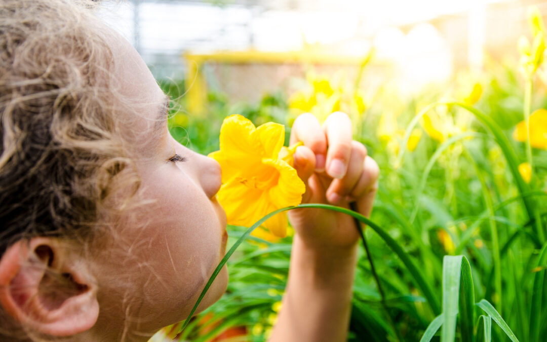 Le projet de jardin sensoriel à Charles Perrault se concrétise !