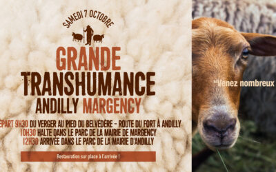 Grande Transhumance Andilly Margency