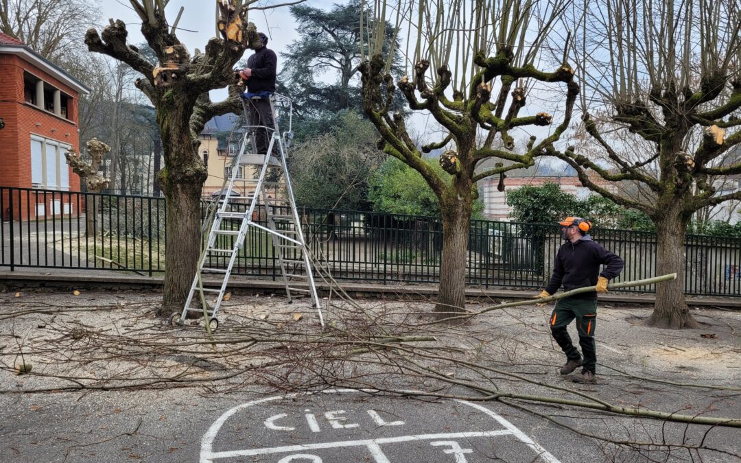 Travaux dans l’école Sylvain Lévi