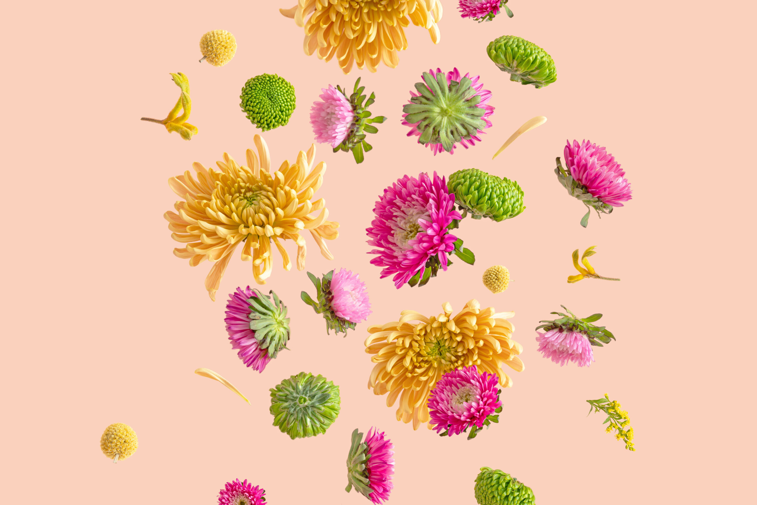 Repas de printemps à la cantine