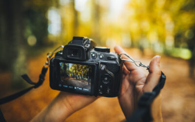 Participez à une balade contée et photographiée