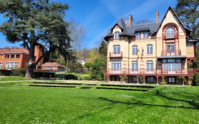 Quelques nouvelles du cèdre du parc de la mairie