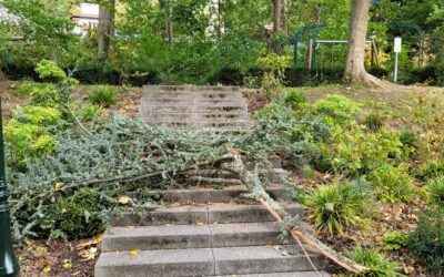 Info – parcs, sentes et espaces boisés