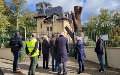 Visite officielle à Andilly suite aux vents violents du 20 octobre
