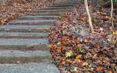 Réouverture du chemin du Trou à sable