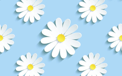 Menu de printemps à la cantine