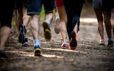 Venez encourager les sportifs du 2T2M !