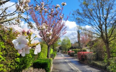 Bon week-end de Pâques !