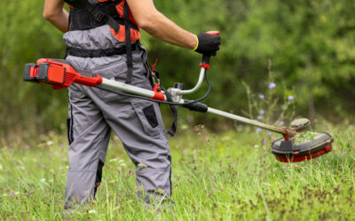 Andilly recrute un agent polyvalent saisonnier