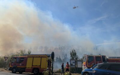 INFO Incendie maîtrisé en lisière de la forêt de Domont, à la limite de Piscop