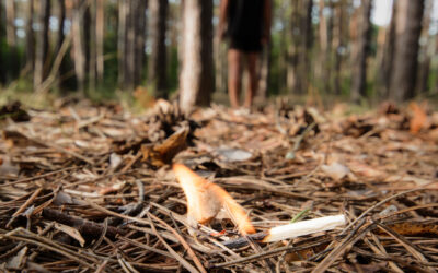 Le Val d&rsquo;Oise en vigilance orange « feux de forêt »
